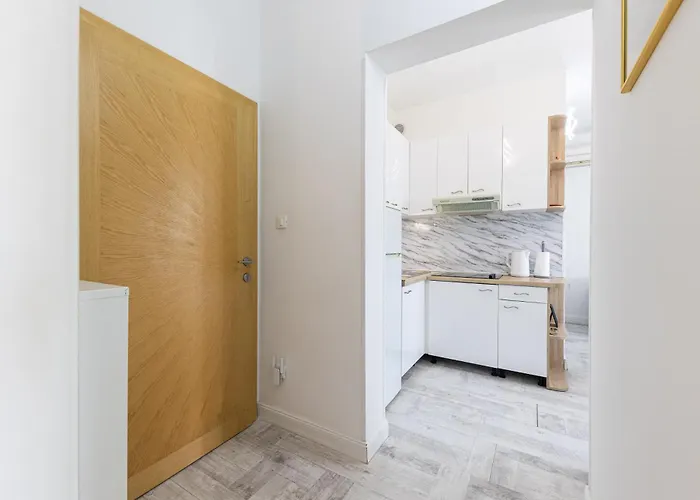 Lions Apartment Split