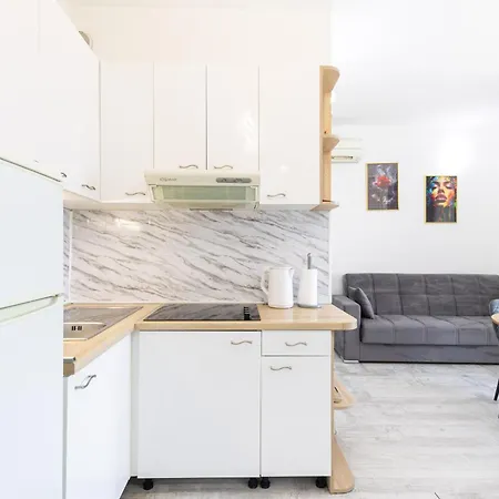 Lions * 斯普利特